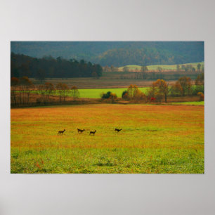 Poster EUA, Tennessee. Cades Cove In Enfumaçado Mountain