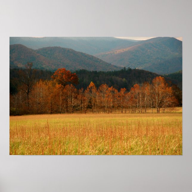 Poster EUA, Tennessee. Cades Cove Na Montanha Enfumaçado (Frente)