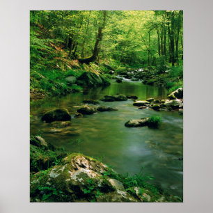 Póster EUA, Tennessee, Grandes Montanhas Fumosas