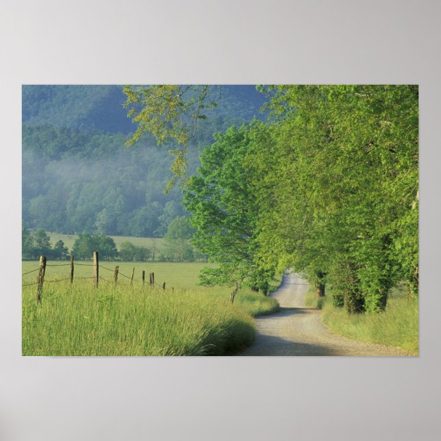 Póster EUA, Tennessee, Montanhas Enfumaçados Excelentes N (Frente)