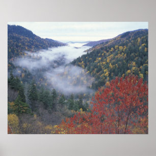 Póster EUA, Tennessee, Parque Nacional Grandes Montanhas
