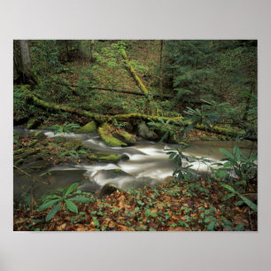 Póster EUA, Tennessee. Rio Nacional Big South Fork