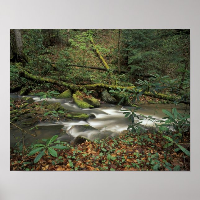 Póster EUA, Tennessee. Rio Nacional Big South Fork (Frente)