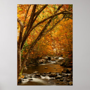 Poster EUA, Tennessee. Rushing Mountain Creek 3