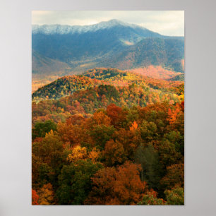 Poster EUA, Tennessee. Vista do Monte Leconte coberto de 