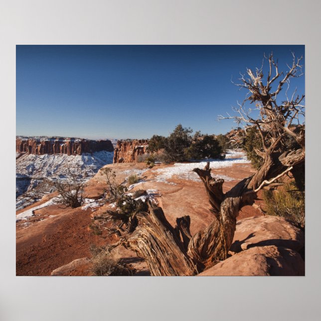 Poster EUA, Utah, Moab. Parque Nacional Canyonlands, (Frente)