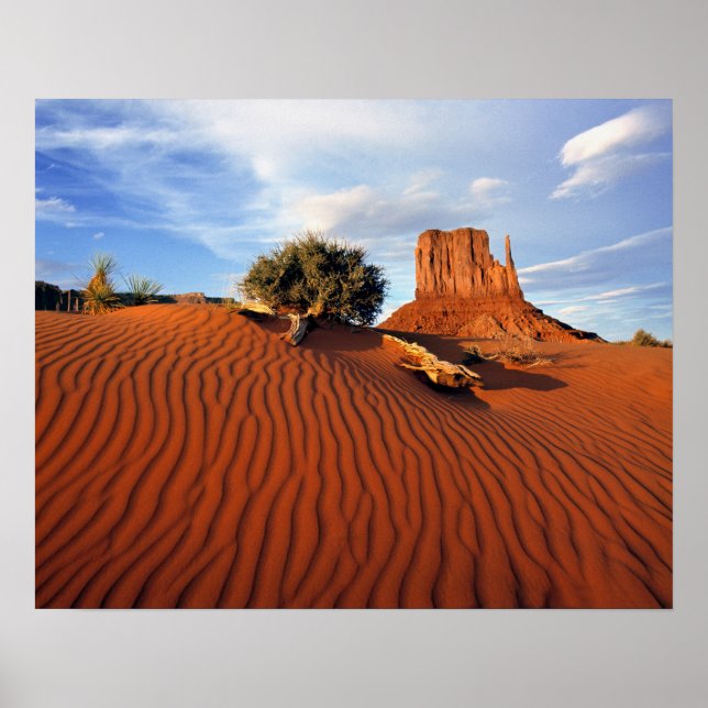 Póster EUA, Utah, Monument Valley. Vento cria (Frente)