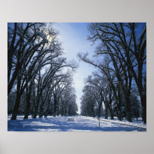 Póster EUA, Utah, Salt Lake City, Liberty Park,