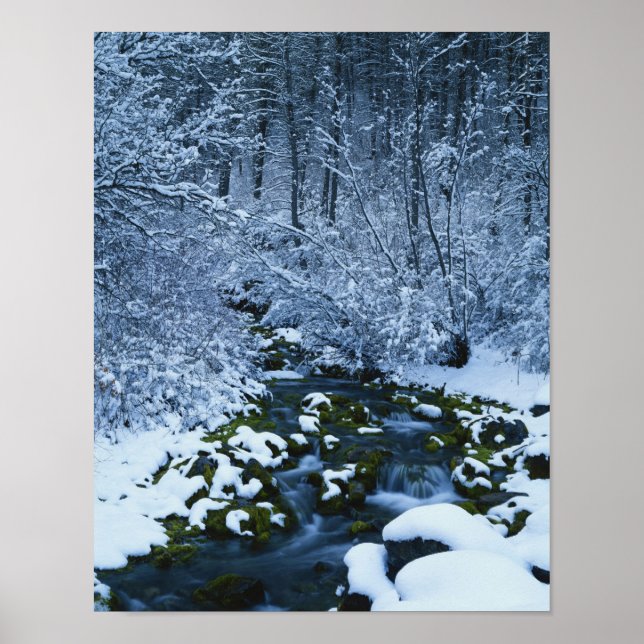 Póster EUA, Utah, Wasatch-Catch National Forest, (Frente)