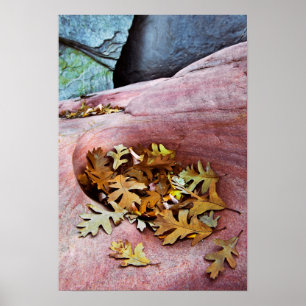 Póster EUA, Utah, Zion National Park. Folhas de carvalho