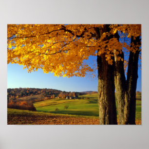 Póster EUA, Vermont. Fazenda Panorâmica Perto de South Wo