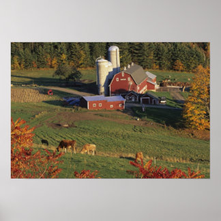 Póster EUA, Vermont, Pomfret. Celeiro Vermelho e outono