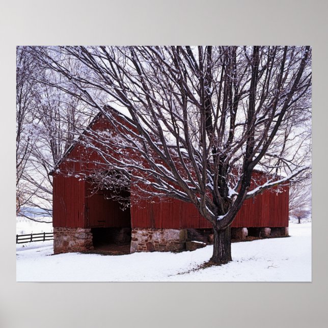 Poster EUA, Virgínia, Fairfax County, Barn e Maple (Frente)