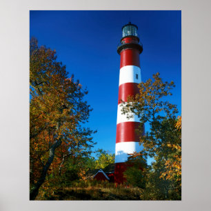 Póster EUA, Virgínia, Ilha Assateague, Chincoteague