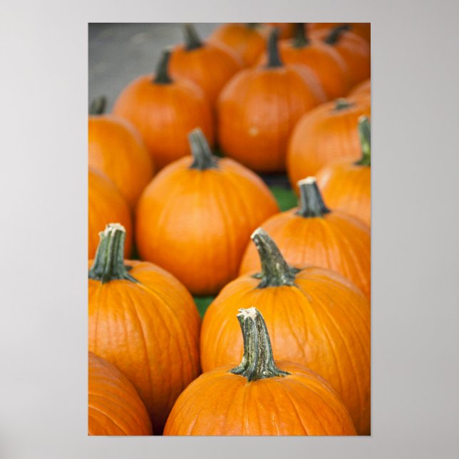 Poster EUA, Virgínia Ocidental, Charleston. Capitólio 2 (Frente)