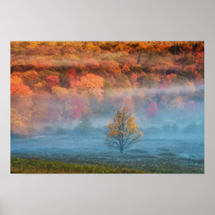 Póster EUA, Virginia Ocidental, Davis. Misty Valley e