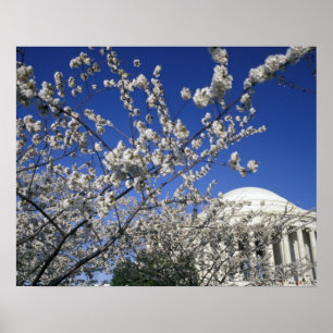 Póster EUA, Washington DC. Festival das Cerejeiras em Flo