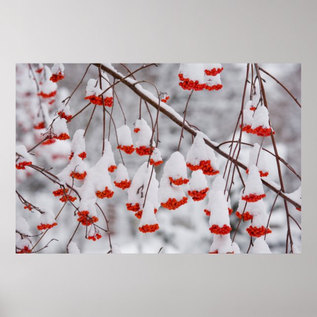 Poster EUA, Washington, distrito de Spokane (Frente)