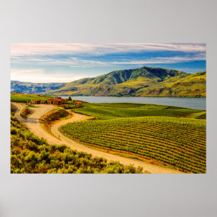 Póster EUA, Washington, Lago Chelan. Benson Vineyards