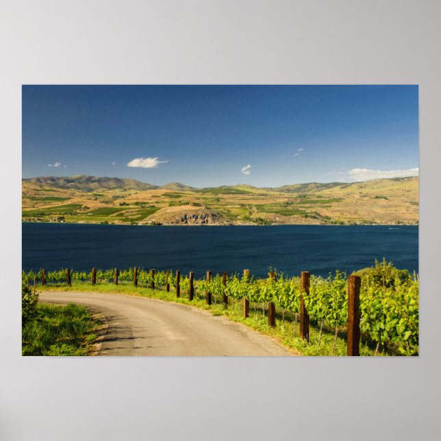 Póster EUA, Washington, Lago Chelan. Vinha (Frente)