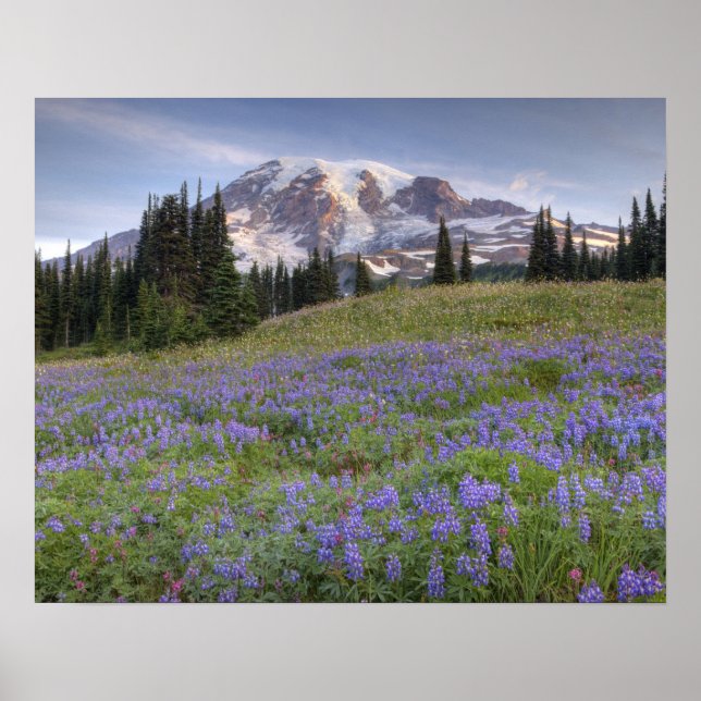 Póster EUA, Washington, Mt. Rainier NP, Mt. Rainier e (Frente)