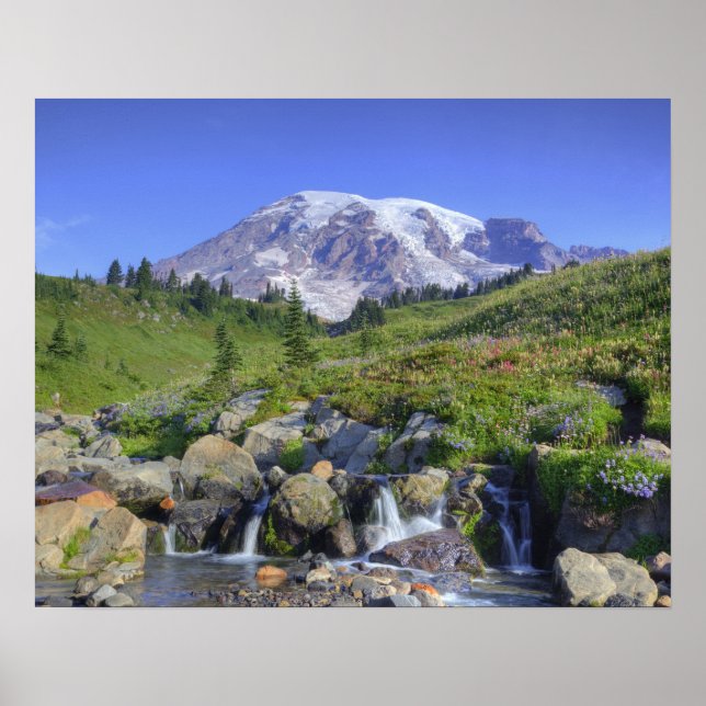 Poster EUA, Washington, Mt. Rainier NP, Mt. Rainier e 2 (Frente)