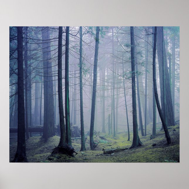 Poster EUA, Washington, Orcas Island, Moran State Park (Frente)