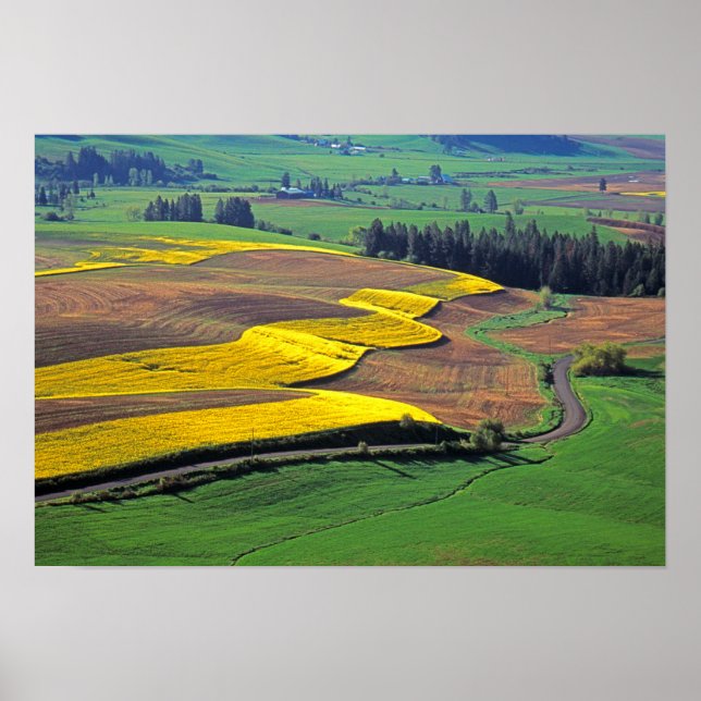 Póster EUA, Washington, Palouse, Whitman County 2 (Frente)
