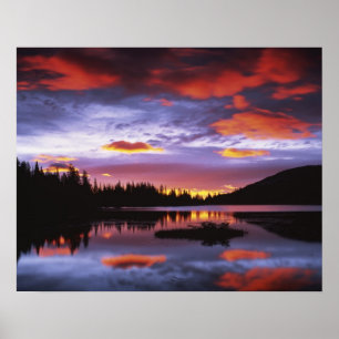 Poster EUA, Washington, Parque Nacional Mt. Rainier,
