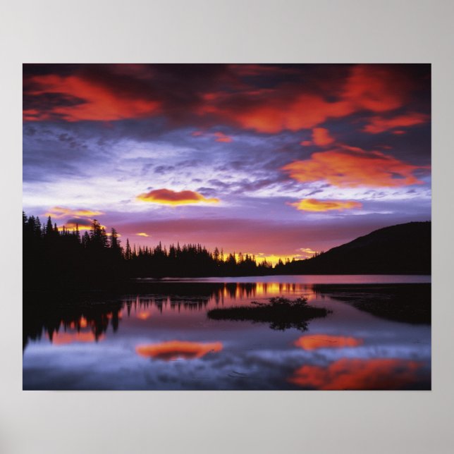 Poster EUA, Washington, Parque Nacional Mt. Rainier, (Frente)