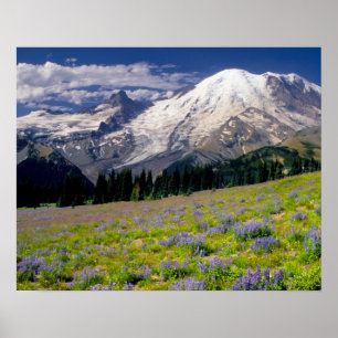 Póster EUA, Washington, Parque Nacional Mt. Rainier.