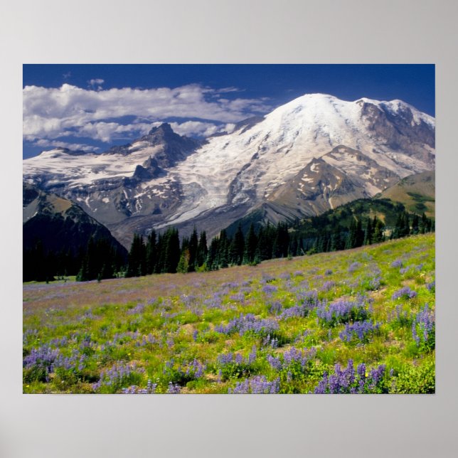 Póster EUA, Washington, Parque Nacional Mt. Rainier. (Frente)