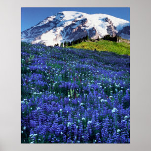 Poster EUA, Washington, Parque Nacional Mt. Rainier. Mt.