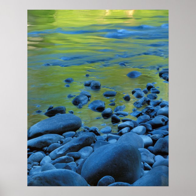 Póster EUA, Washington, Parque Nacional Olimpiadas 3 (Frente)