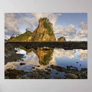 Poster EUA, Washington, Parque Nacional Olimpiadas. A