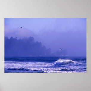 Poster EUA, Washington, Parque Nacional Olimpiadas. Névoa