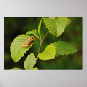 Póster EUA, Washington, Seattle, Discovery Park