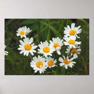 Póster EUA, Washington, Seattle, Puget Sound 3