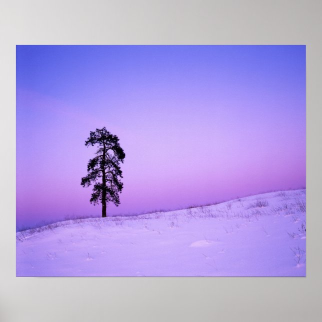 Poster EUA, Washington, Spokane County, Riverside (Frente)