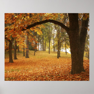 Póster EUA, Washington, Spokane, Manito Park, outono 2
