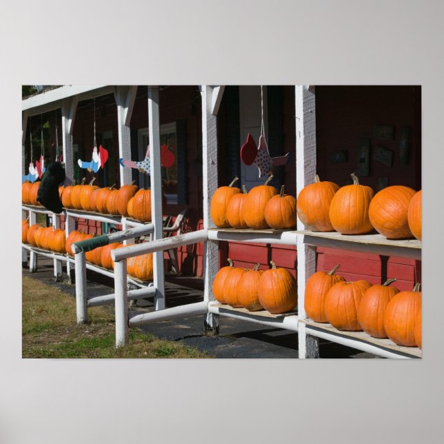 Poster EUA, WISCONSIN, Washington: Lago Superior Shore, (Frente)