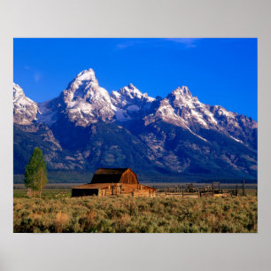Poster EUA, Wyoming, Parque Nacional Grand Teton, Manhã