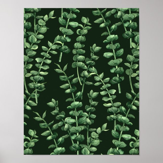 Poster Eucalipto 2 (Frente)