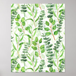 Poster Eucalyptus