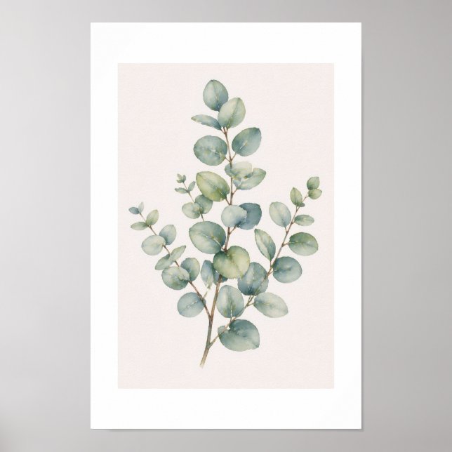 Poster Eucalyptus (Frente)