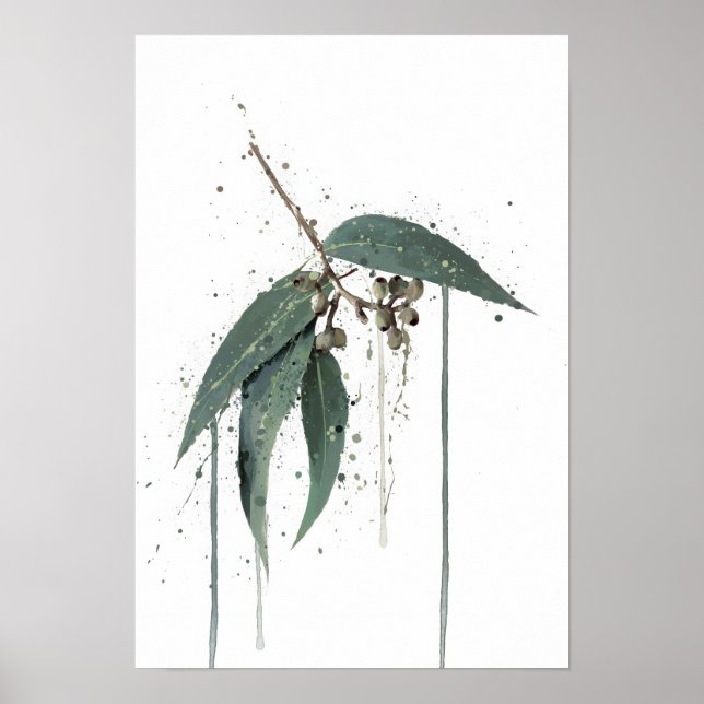 Poster Eucalyptus’ (Australian) (Frente)
