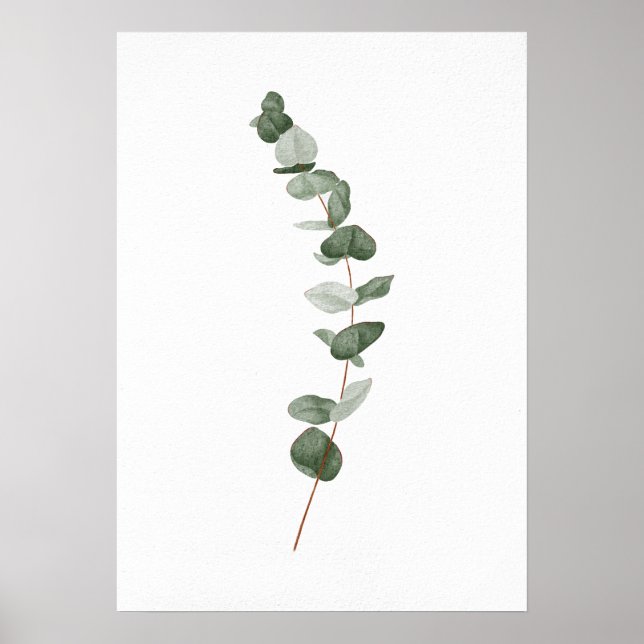 Poster Eucalyptus Branch (Frente)