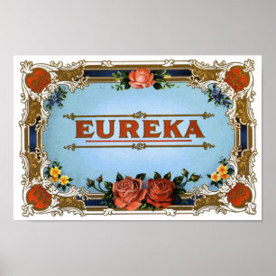 Póster Eureka