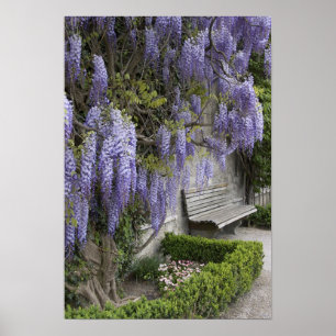 Póster Europa, Áustria, Salzburg Stadt, Salzburg,
