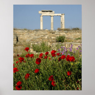 Póster Europa, Grécia, Cíclades, Delos. Ruínas de colu